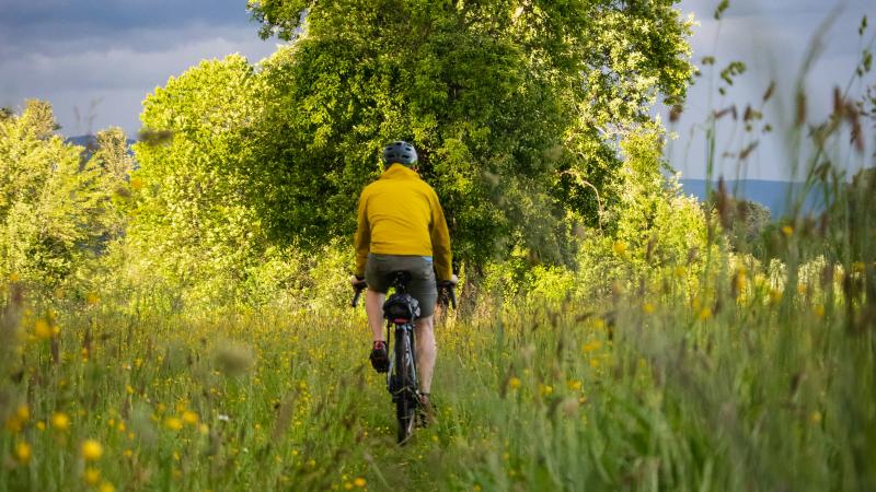 Radtouren im Schwarzwald